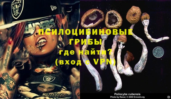 шишки Володарск