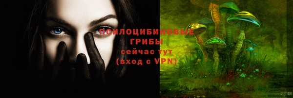 прущий лед Верея