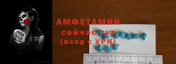 шишки Володарск