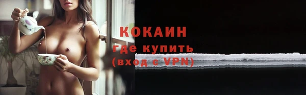 шишки Володарск
