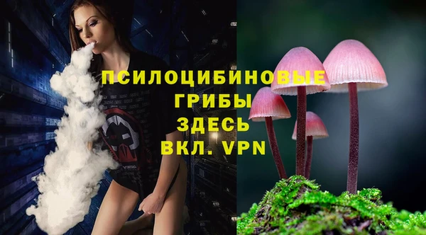 стафф Верхний Тагил
