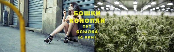 стафф Верхний Тагил
